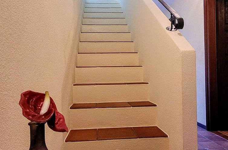 Appartement mit Bergblick