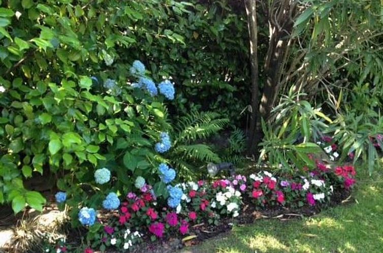 Appartement Casa Viola