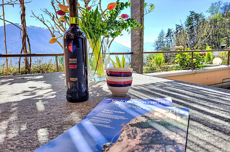 Guest house 1833601 - Apartment Ticino / Tessin - Appartement Terrazzo Prato Pernice Apt.12