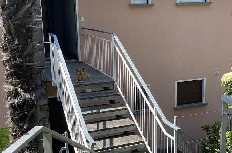 Appartement Panoramawohnung Orselina Locarno