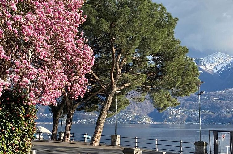 Appartement Panoramawohnung Orselina Locarno