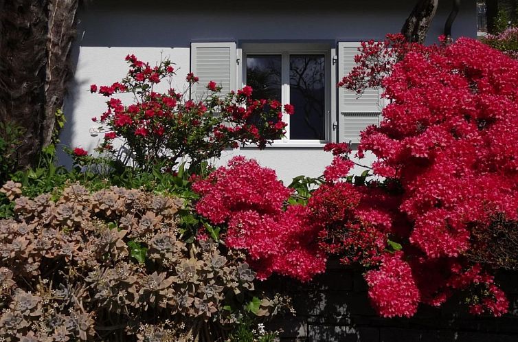 Vakantiehuis Öko-Haus C mit Gartenpool und herrlichem Seebl
