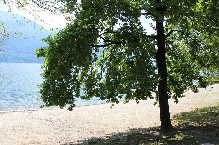 Appartement Wohnung mit blühender Terrasse, seenah