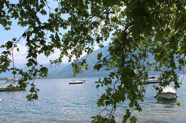 Appartement Wohnung mit blühender Terrasse, seenah