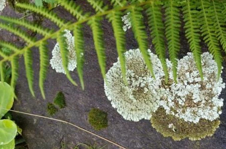 Vakantiehuis Casa Giardino Grande