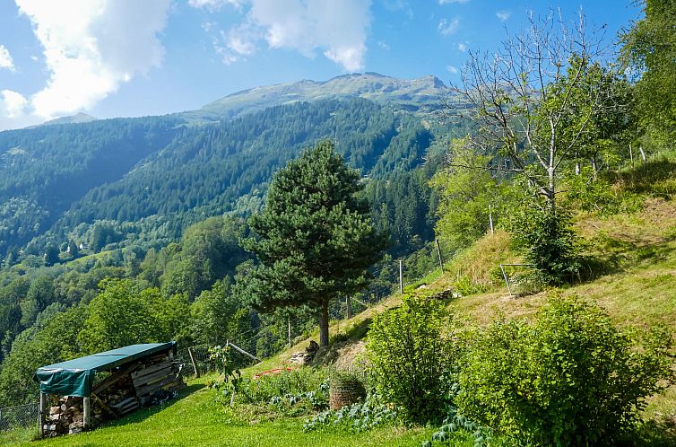 Vakantiehuis Rustico Girasole