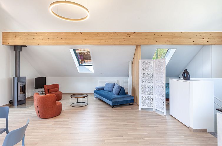 Appartement Loft Lepontica