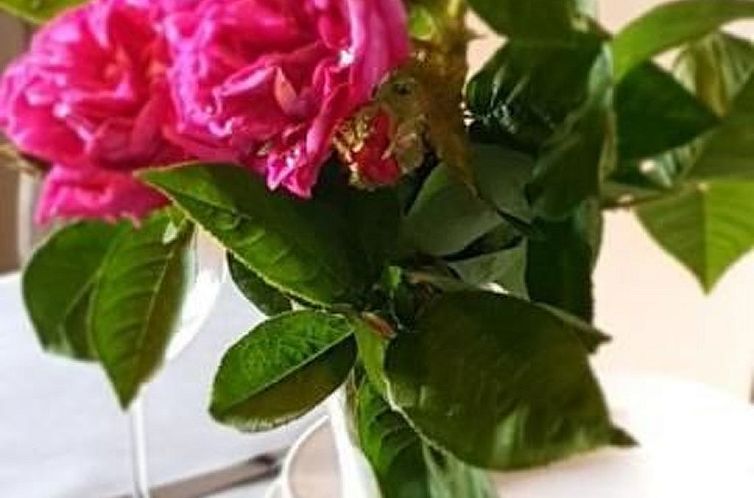 Appartement Cò d'Franz