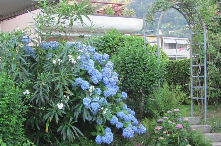 Appartement 2 Zimmer Gartenwohnung mit Pool