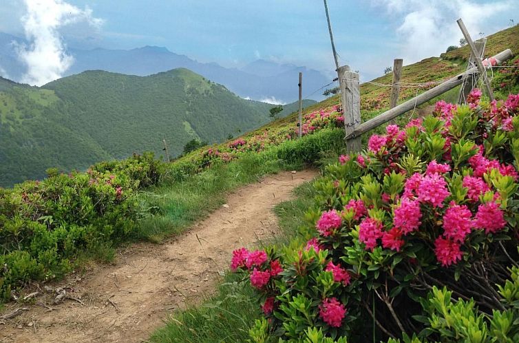 Appartement Wohlfühlort