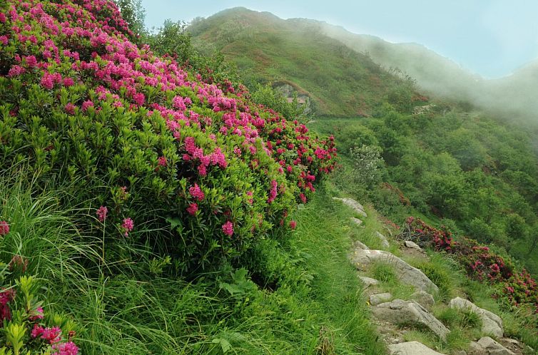 Appartement Wohlfühlort