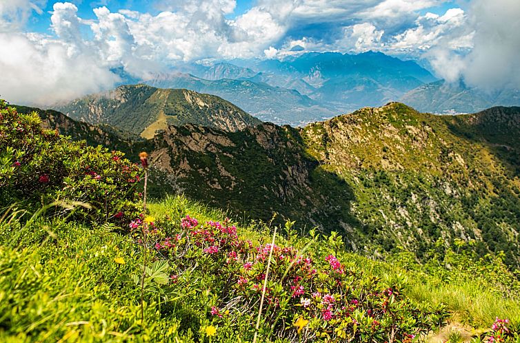 Appartement Wohlfühlort