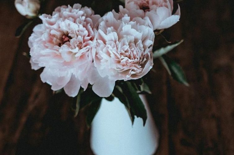 Vakantiehuis Casa Amélie typisches Tessiner Haus Caslano