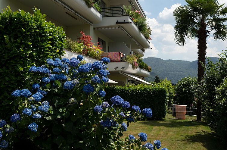 Appartement Sunny Escape