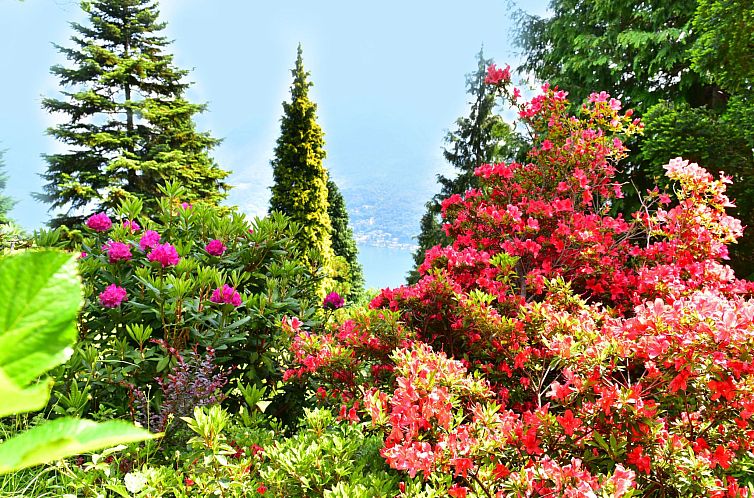 Appartement Sunny Escape