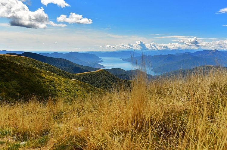 Appartement Sunny Escape