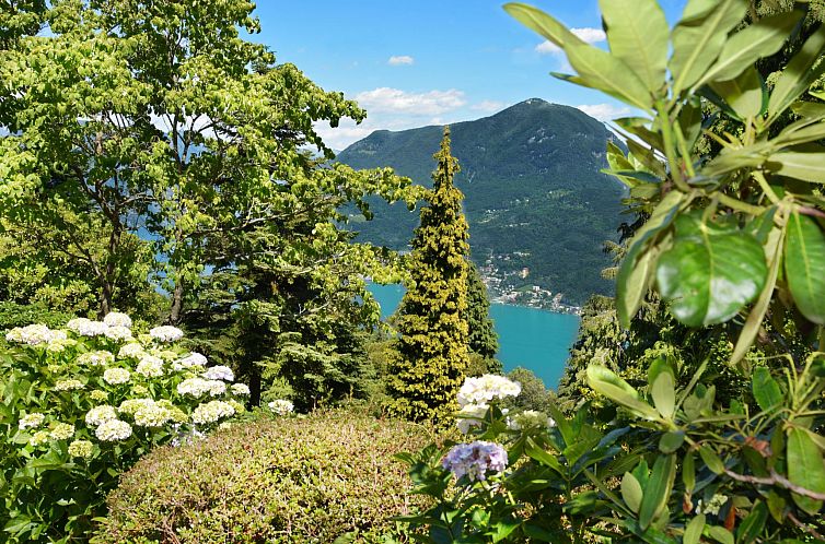 Appartement Sunny Escape