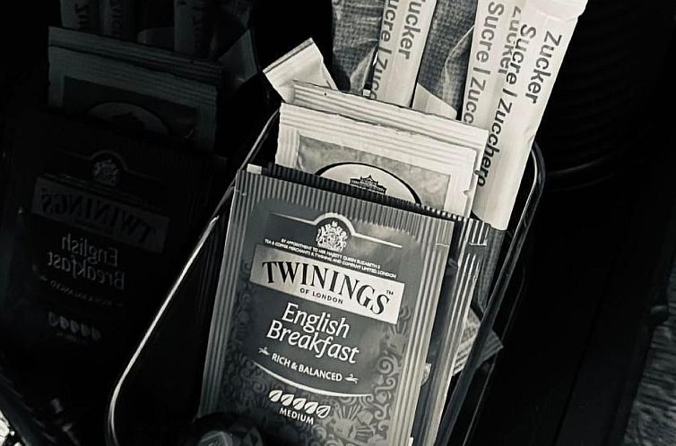 Appartement Das Rustico in Caslano