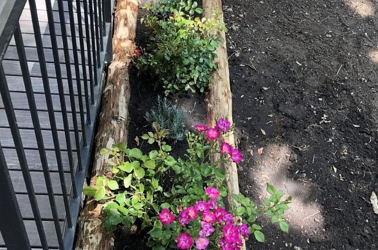 Vakantiehuis La Graziosa