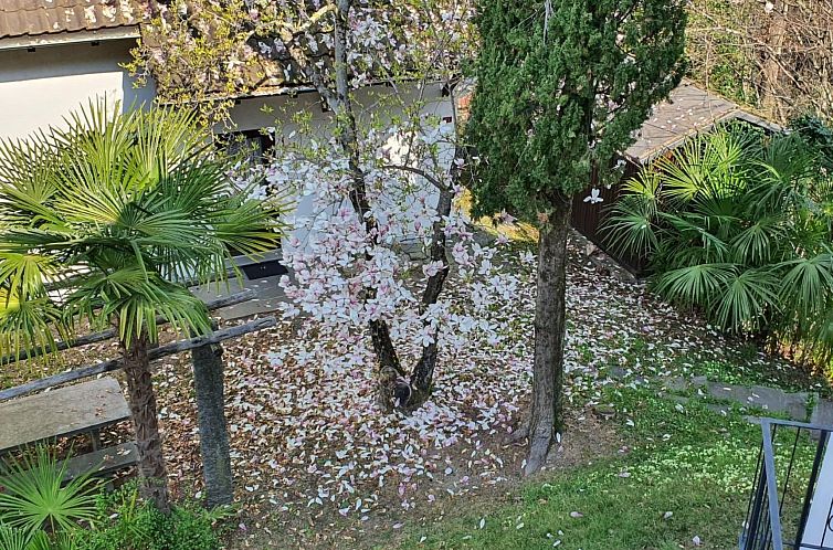 Appartement Aranciarosa