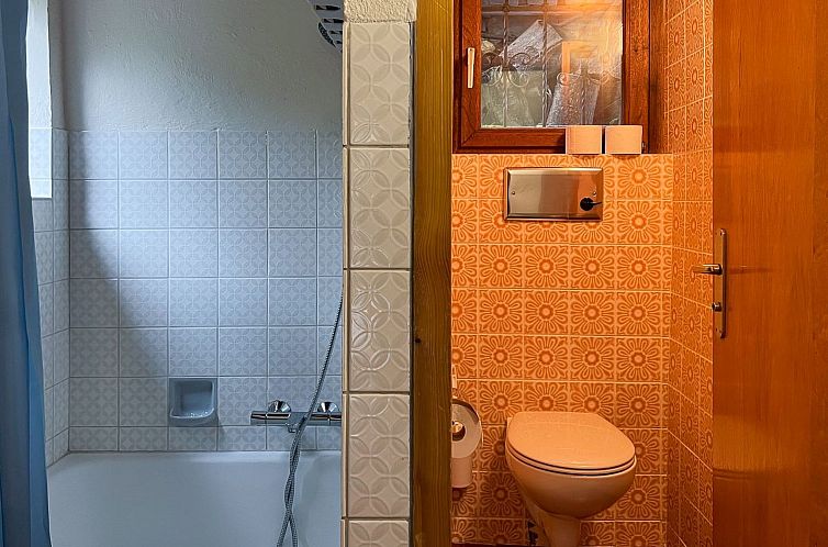 Vakantiehuis Chalet Mergoscia
