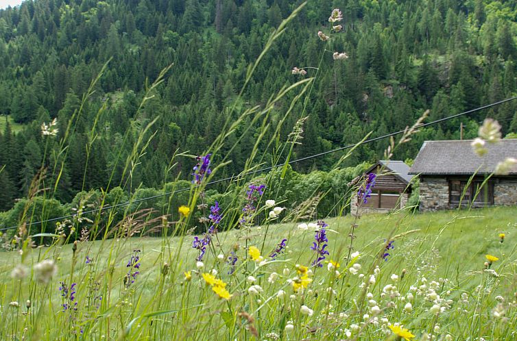 Vakantiehuis Rustico Enrico