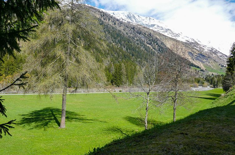 Appartement Cà Bias