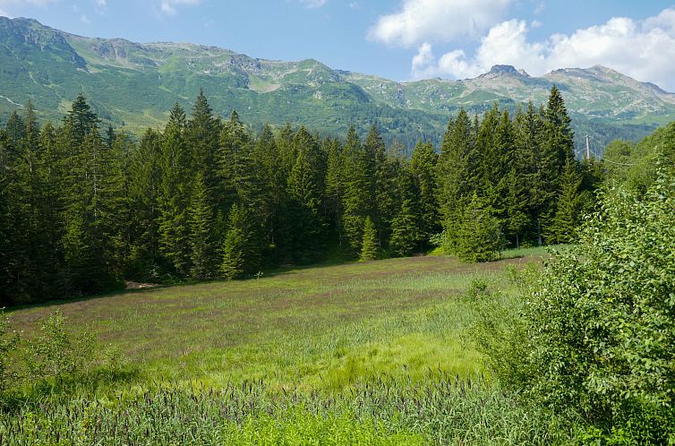 Appartement Cà Bias