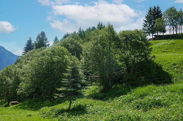 Vakantiehuis Rustico Tecc Berbis