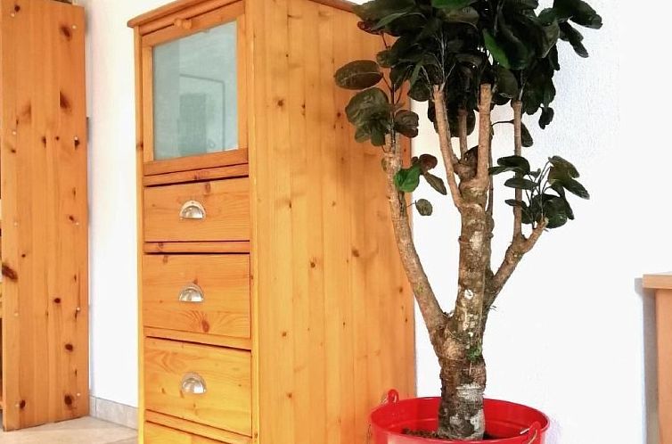 Appartement mit Bergblick