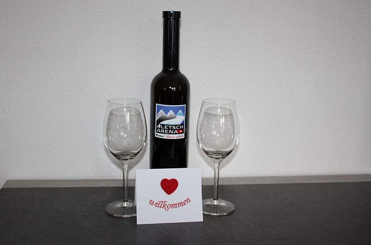 Appartement Saphir EG Süd