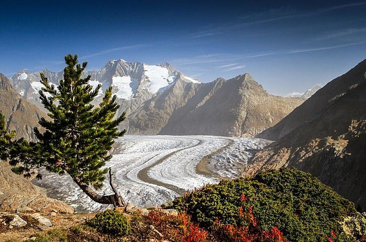 Appartement Alphütte Bielerhüs