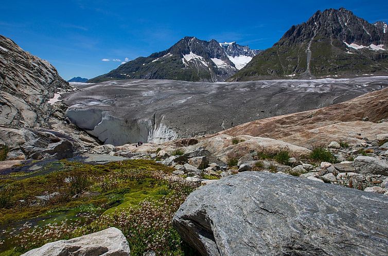 Appartement Alphütte Bielerhüs