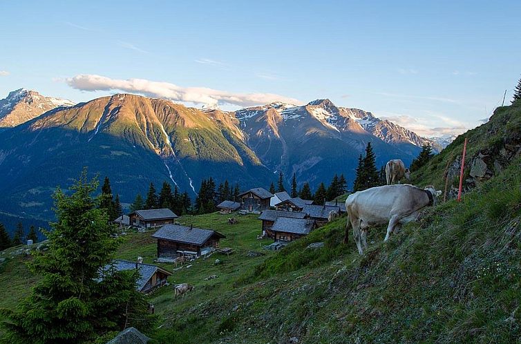 Appartement Alphütte Bielerhüs