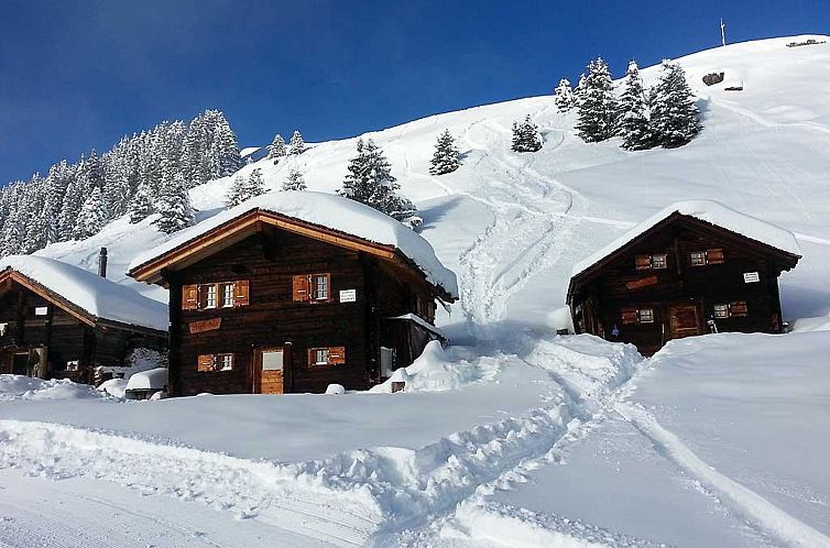 Appartement Alphütte Bielerhüs