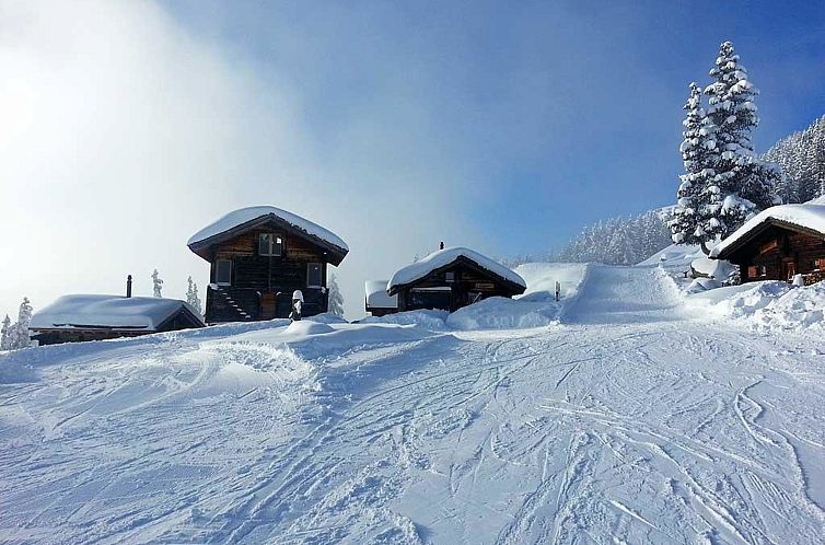 Appartement Alphütte Bielerhüs