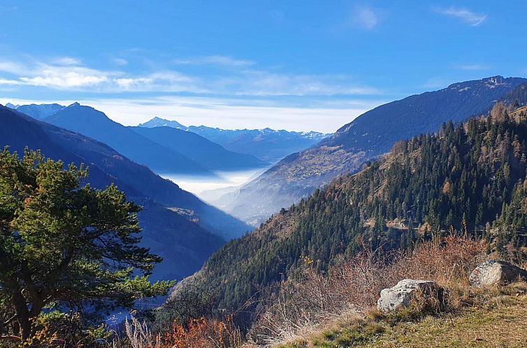 Appartement Thermik 3 1. OG Süd