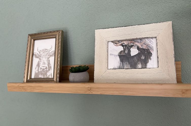 Appartement Thermik 3 1. OG Süd