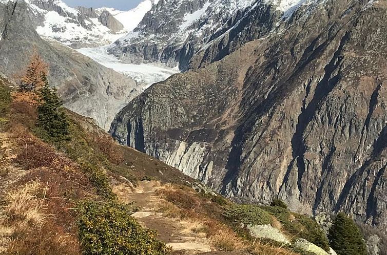 Appartement Thermik 3 1. OG Süd