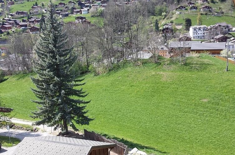 Appartement Gibelegga in Fiesch