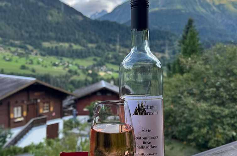Appartement Chalet Sternschnuppe