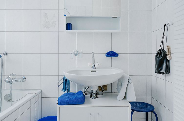Appartement 3 1/2 Zimmerwohnung, 4-Betten (Mireille)