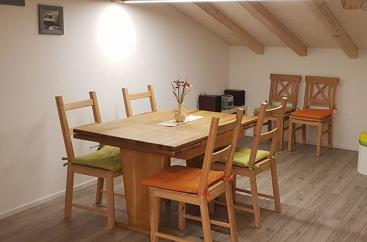 Appartement 3 1/2 Zimmerwohnung, 5-Betten