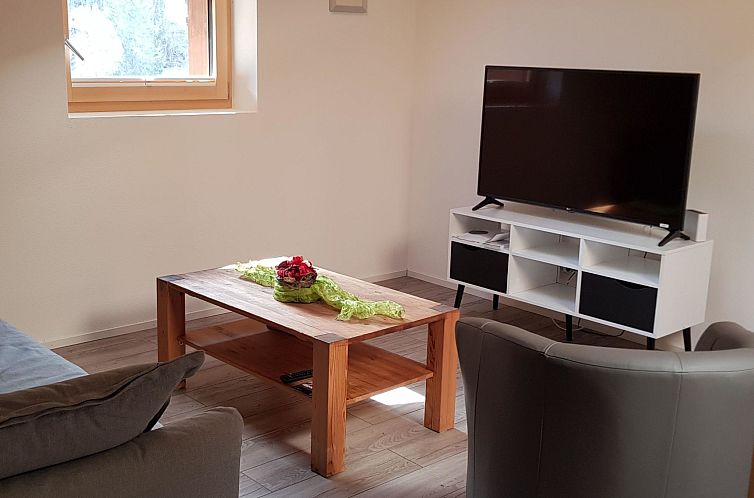 Appartement 3 1/2 Zimmerwohnung, 5-Betten