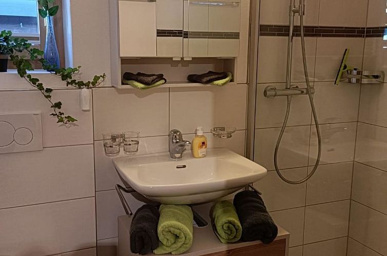 Appartement 3 1/2 Zimmerwohnung, 5-Betten