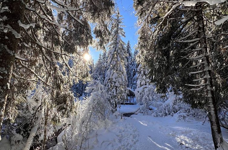 Appartement Peak App., Morgins