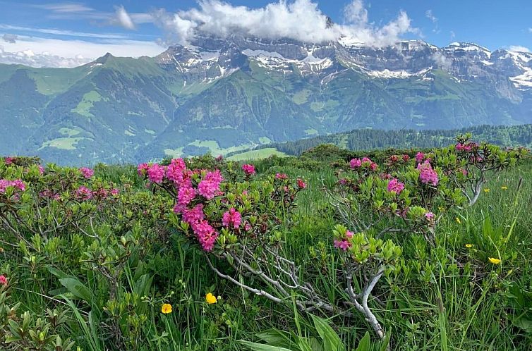 Appartement Peak App., Morgins