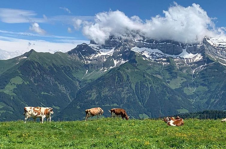 Appartement Peak App., Morgins