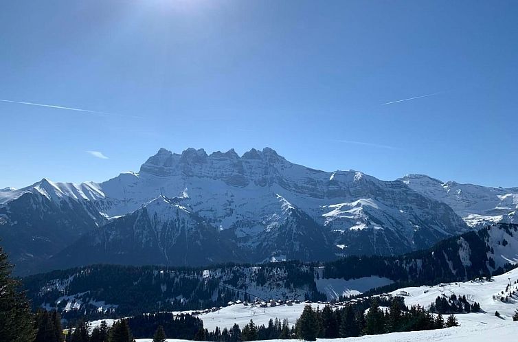 Appartement Peak App., Morgins