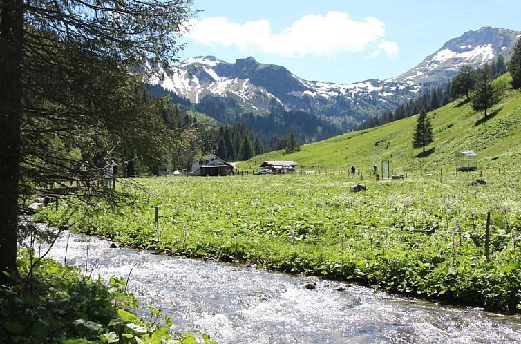 Appartement River App., Morgins